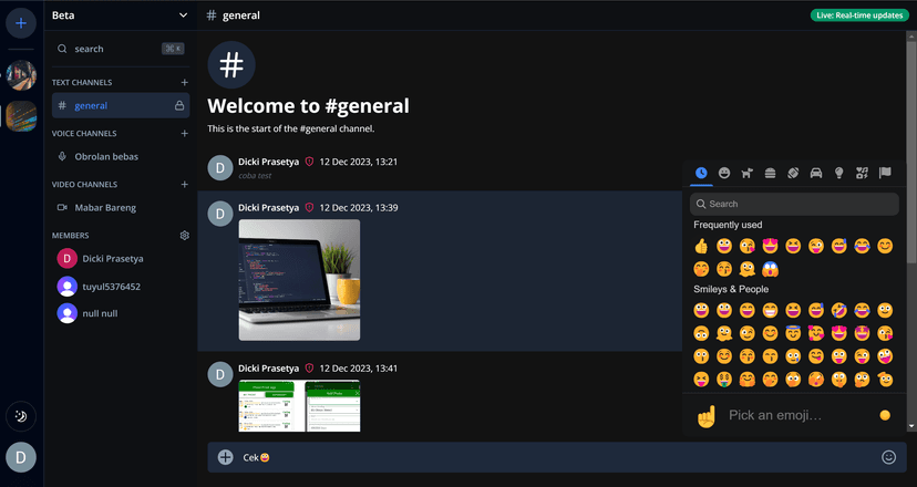 Mini Discord - platform chating, panggilan suara dan video